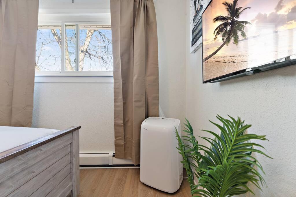 Apartment Art, Eats, & Cozy Sheets In Ne